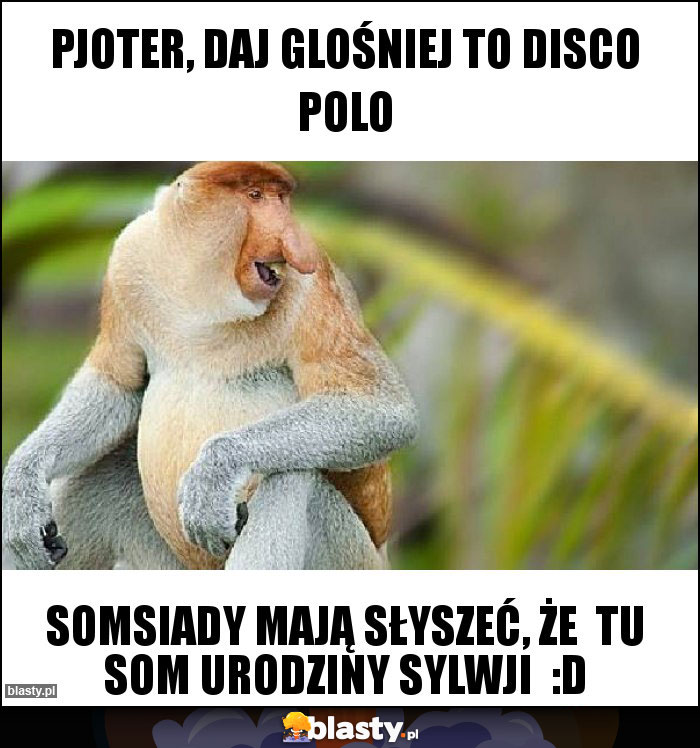 Pjoter, daj glośniej to disco polo