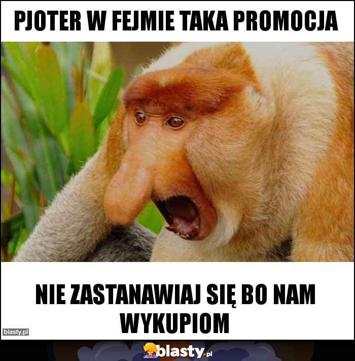 Pjoter w FEJMIE taka promocja