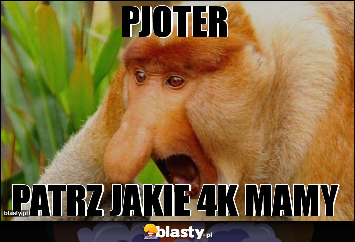 PJOTER