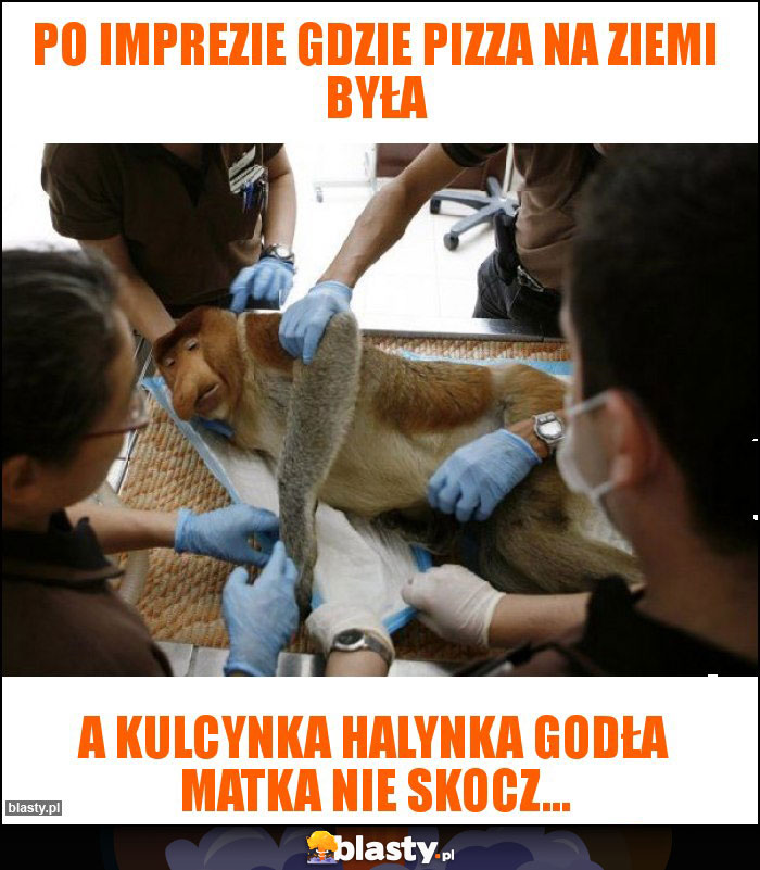 po imprezie gdzie Pizza na ziemi była