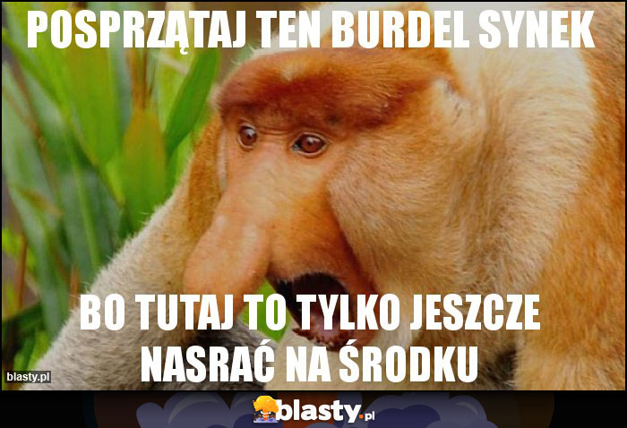 POSPRZĄTAJ TEN BURDEL SYNEK