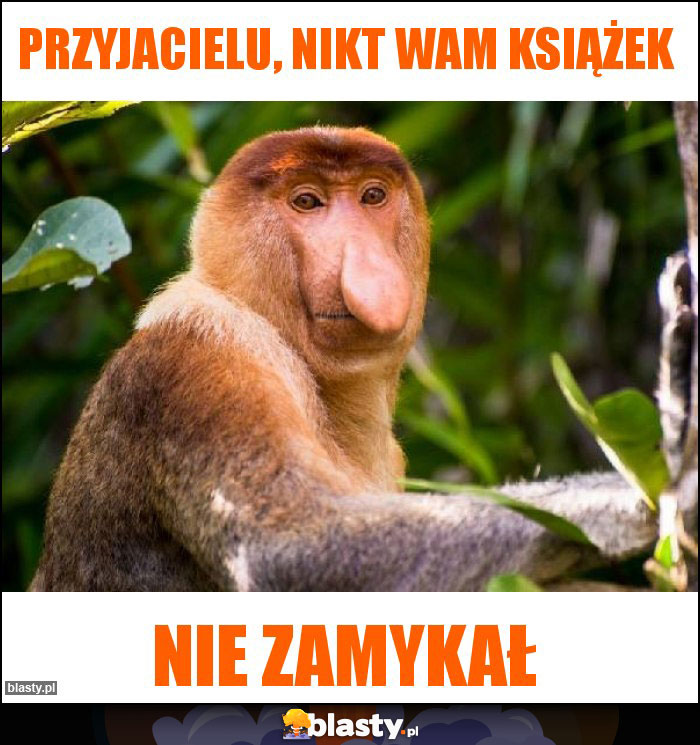 Przyjacielu, nikt wam książek