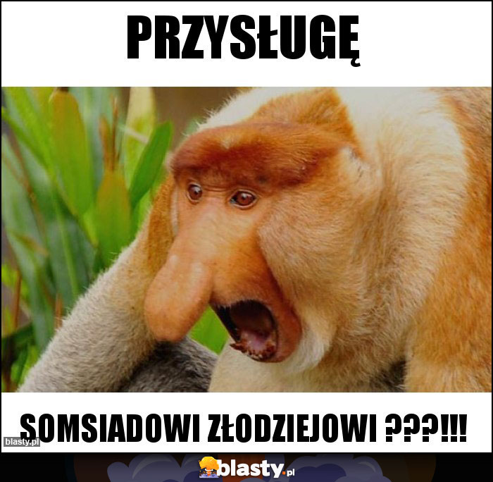 Przysługę