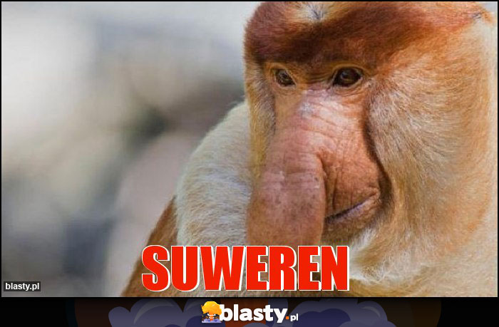 SUWEREN