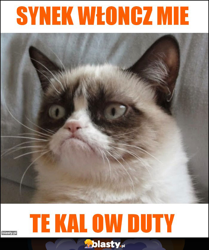 Synek włoncz mie