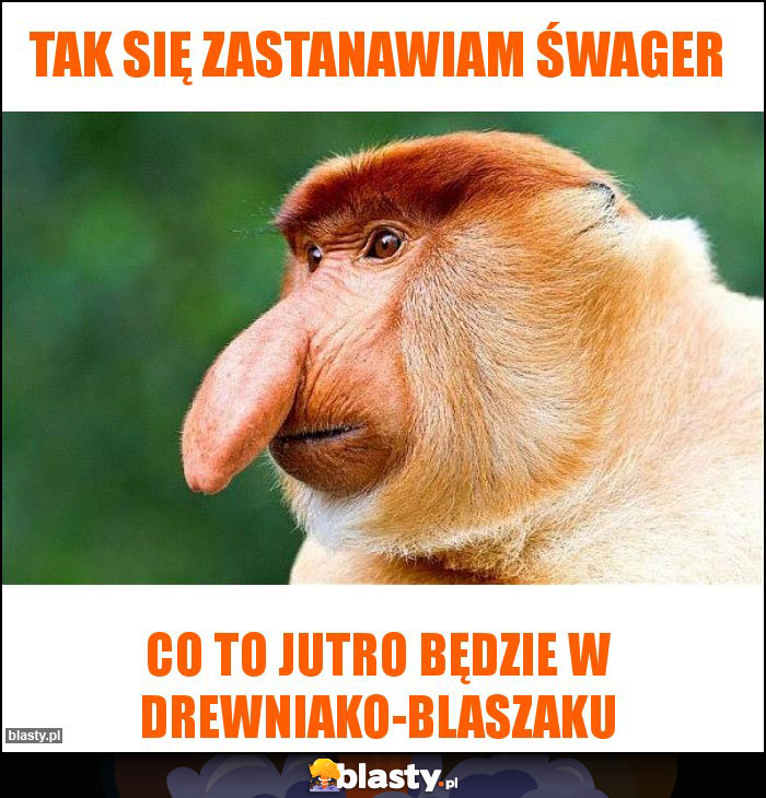 Tak się zastanawiam śwager