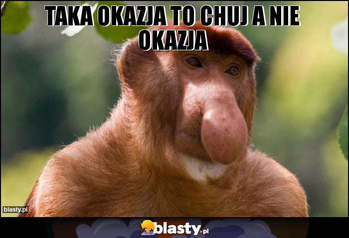 Taka okazja to chuj a nie okazja