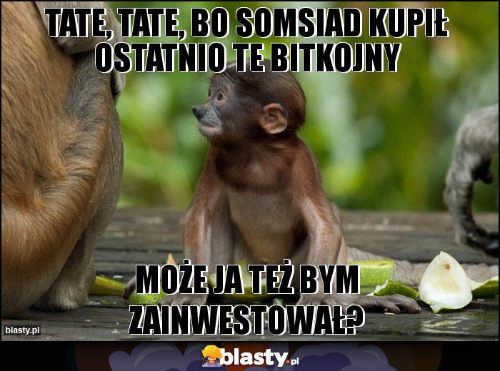 TATE, TATE, BO SOMSIAD KUPIŁ OSTATNIO TE BITKOJNY