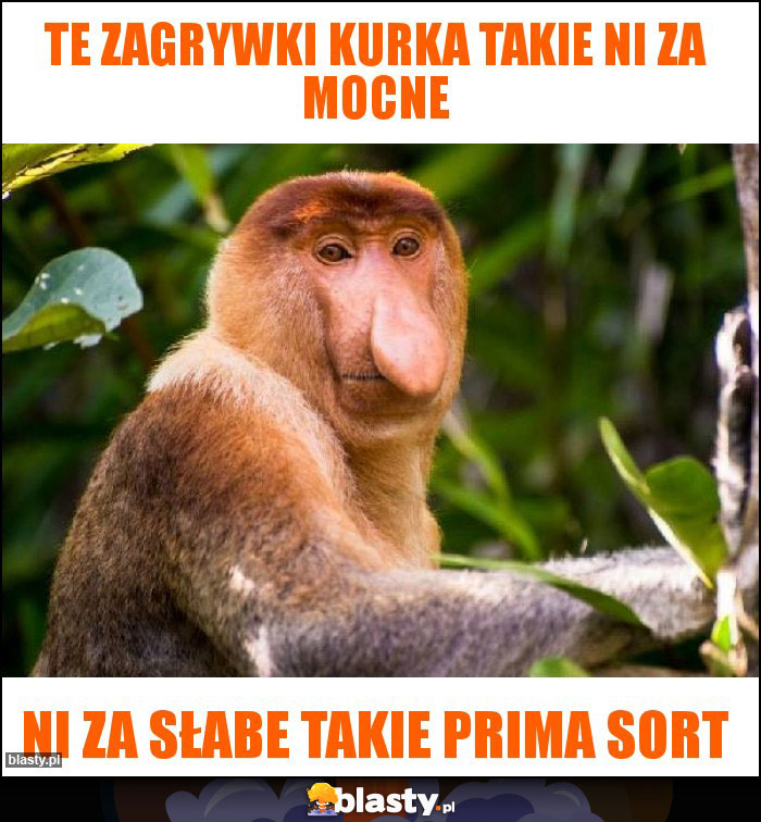 Te zagrywki kurka takie ni za mocne