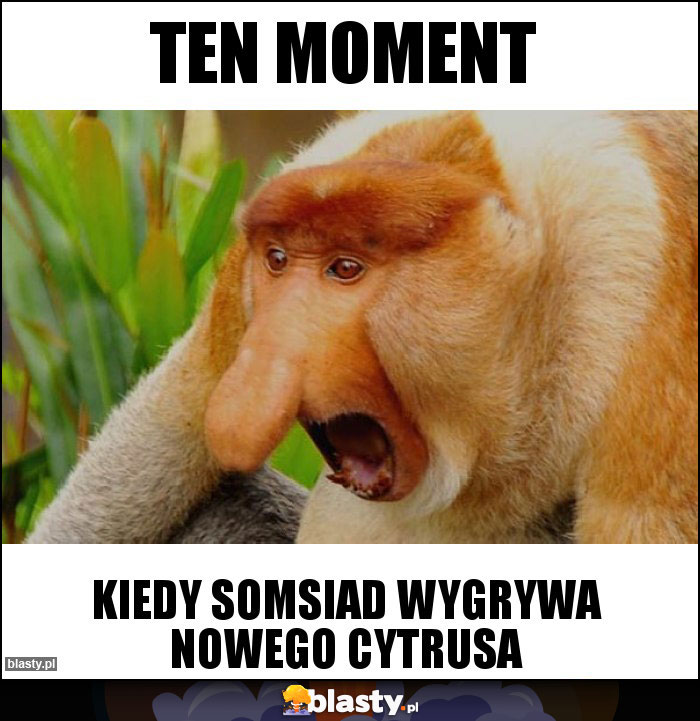 Ten moment