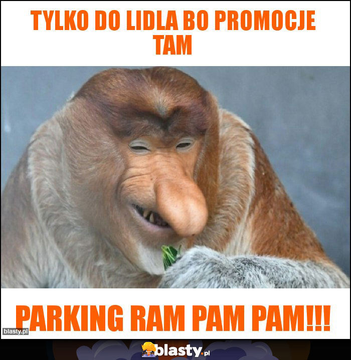 tylko do lidla bo promocje tam