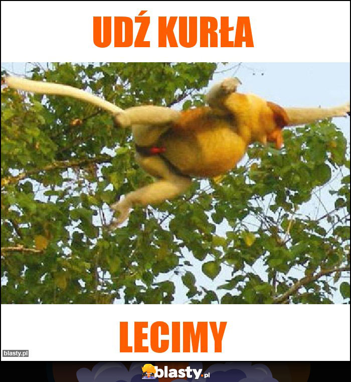 Udź kurła