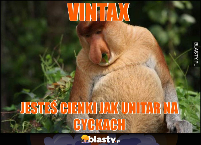 Vintax