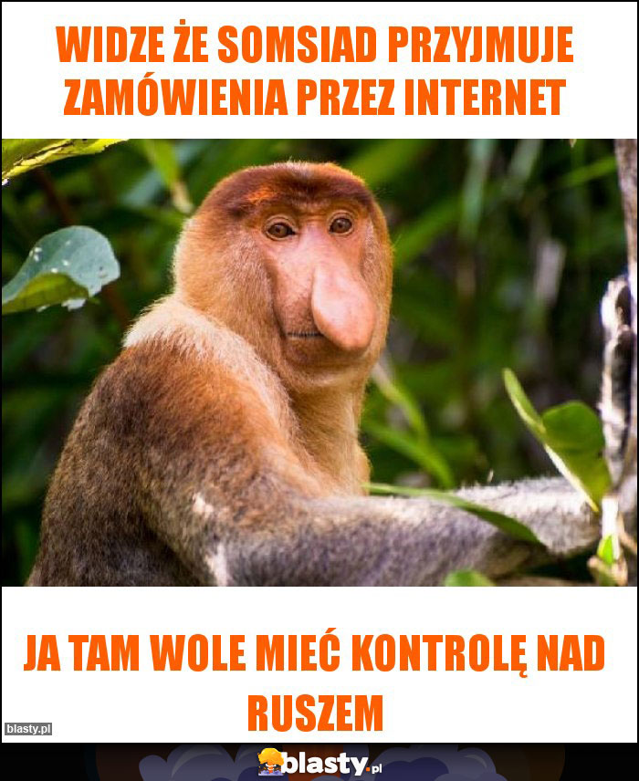 widze że somsiad przyjmuje zamówienia przez internet