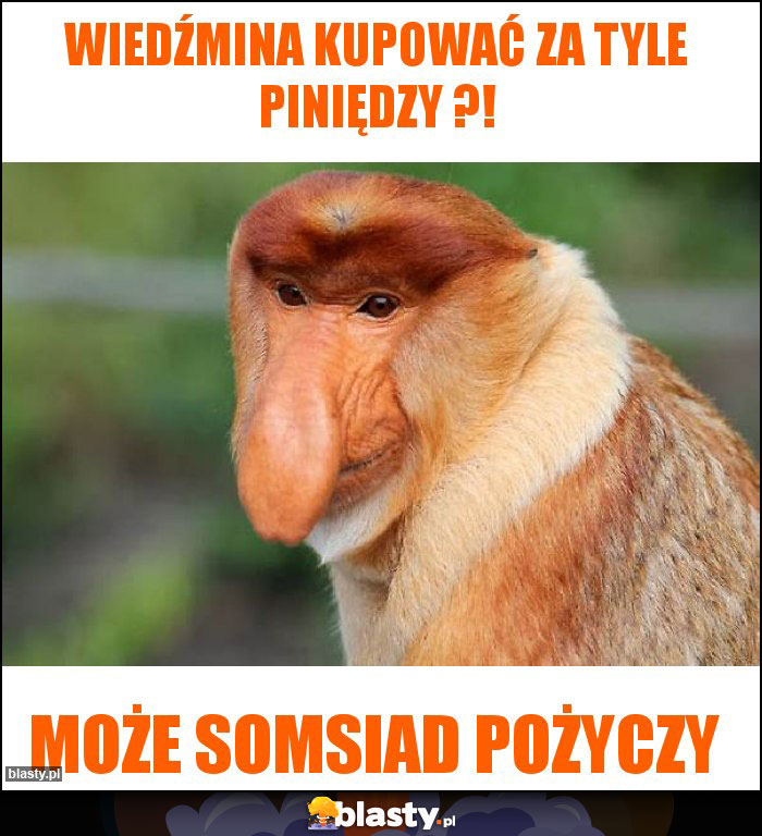 Wiedźmina kupować za tyle piniędzy ?!