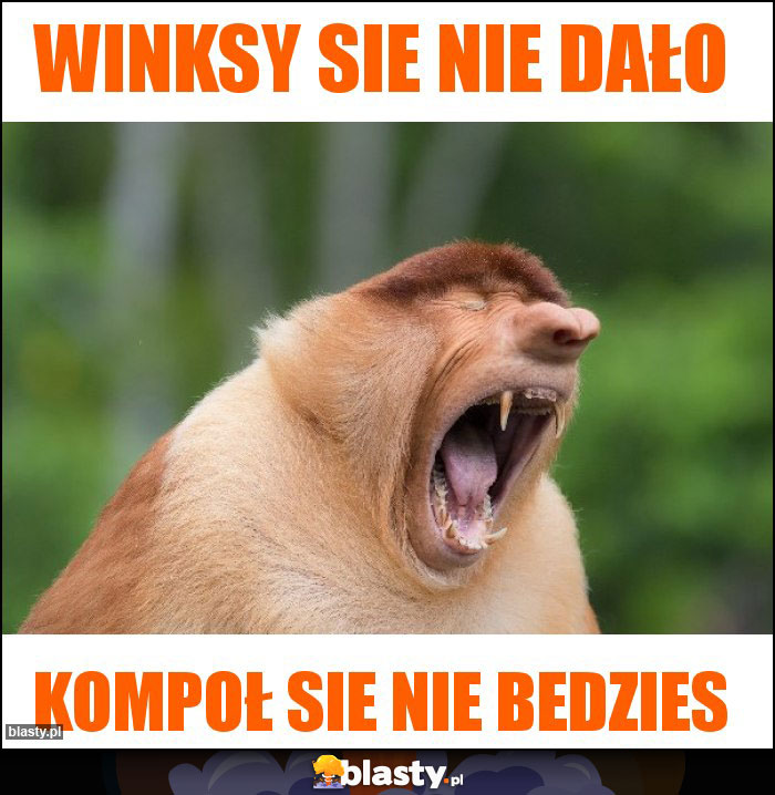 Winksy sie nie dało