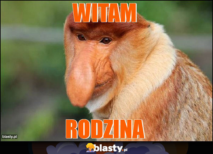 Witam