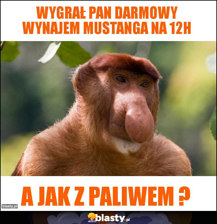 Wygrał pan darmowy wynajem mustanga na 12h