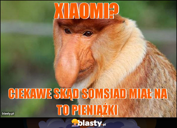 Xiaomi?
