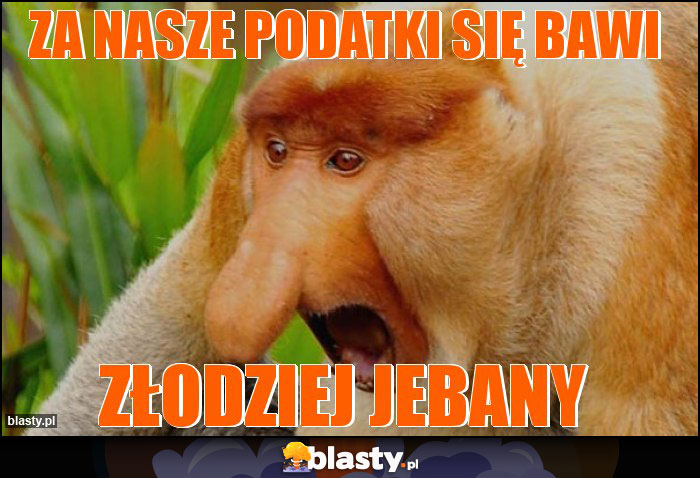 Za nasze podatki się bawi