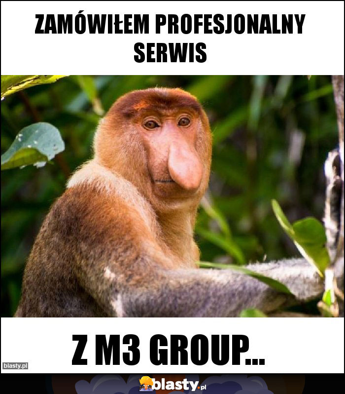 Zamówiłem profesjonalny serwis
