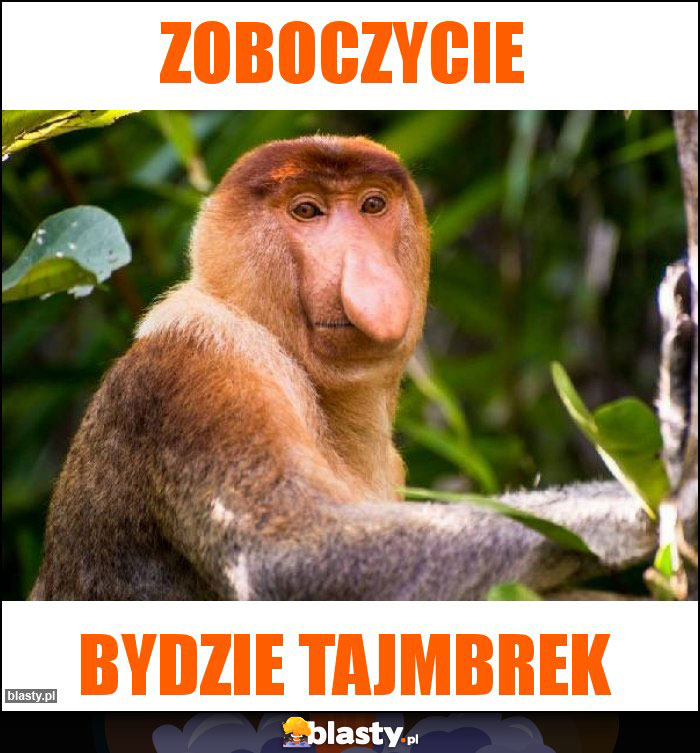 ZOBOCZYCIE