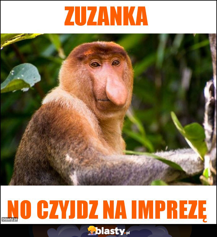 Zuzanka