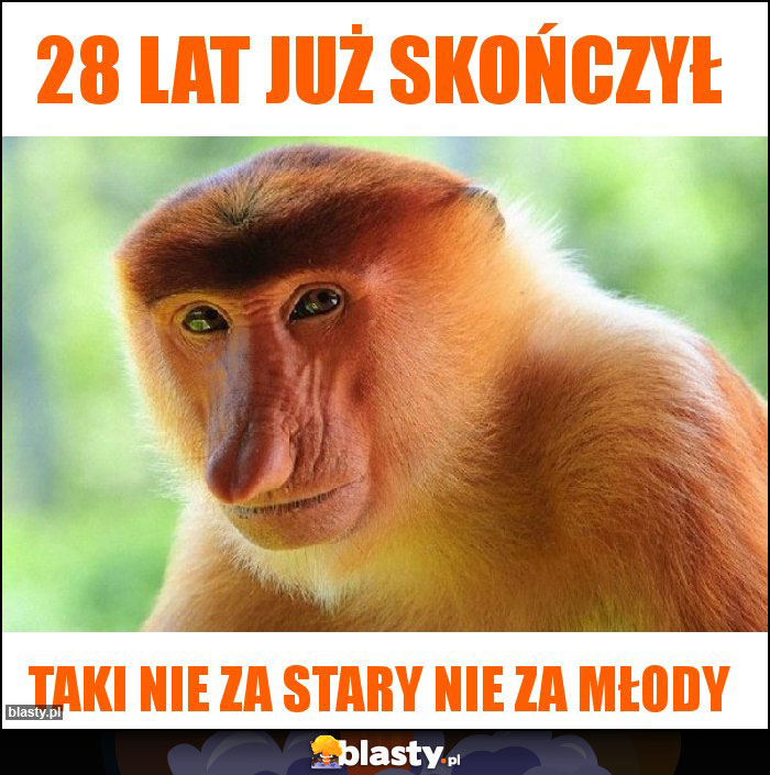 28 lat Już skończył