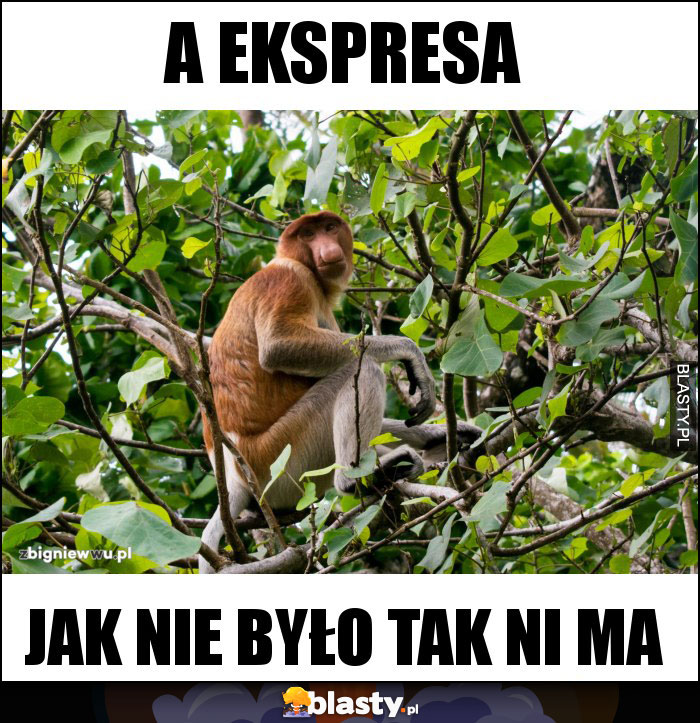 a ekspresa