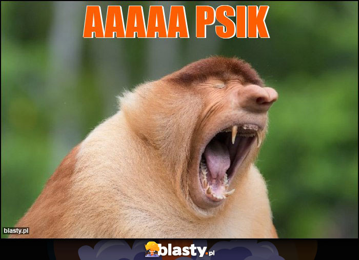 AAAaa psik