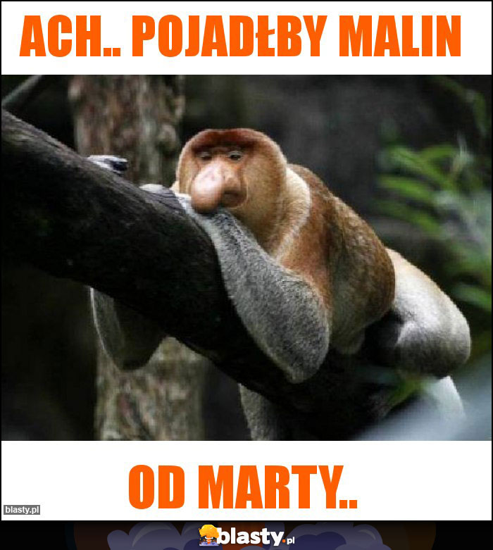 Ach.. Pojadłby malin