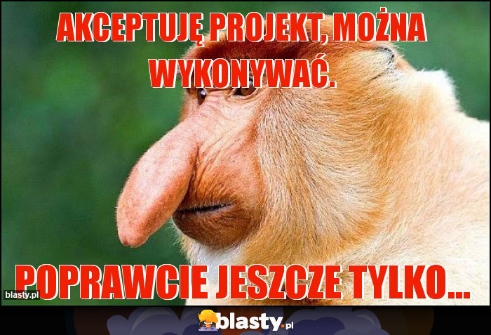 Akceptuję projekt, można wykonywać.