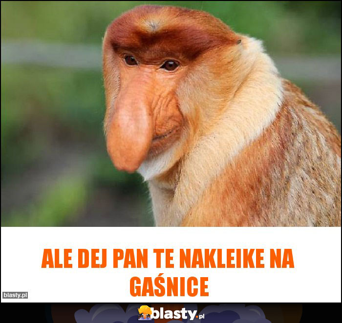 Ale dej Pan te nakleike na gaśnice
