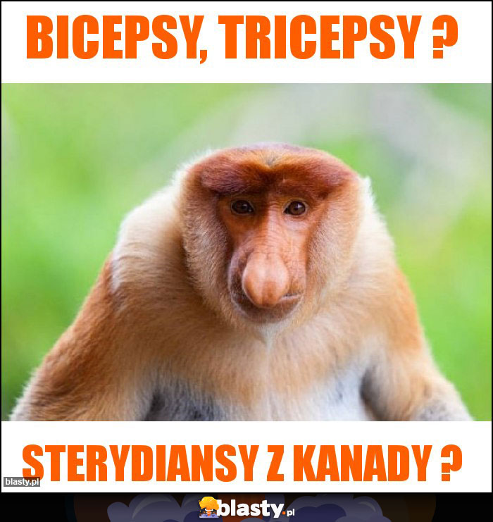 BICEPSY, TRICEPSY ?