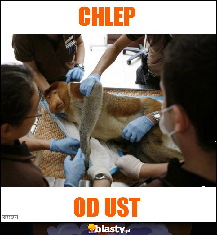 chlep