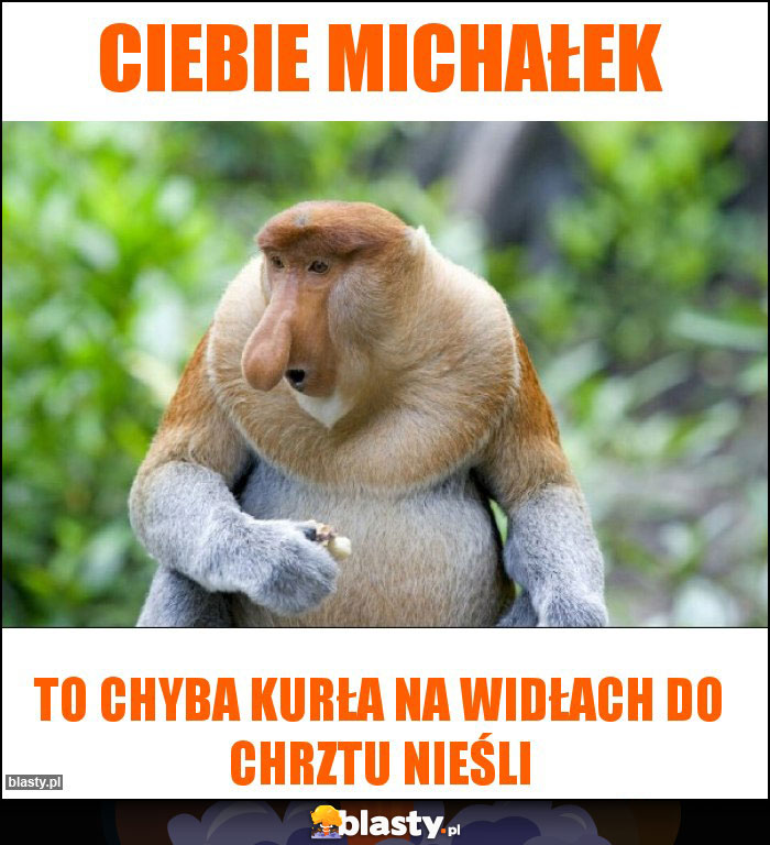 Ciebie Michałek