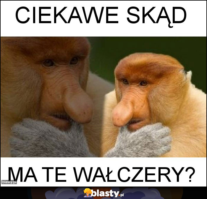 Ciekawe skąd