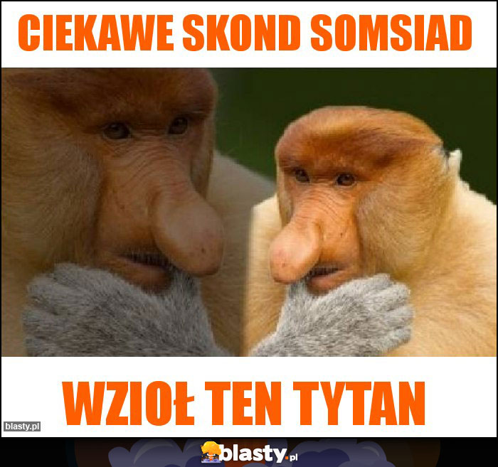 Ciekawe skond somsiad