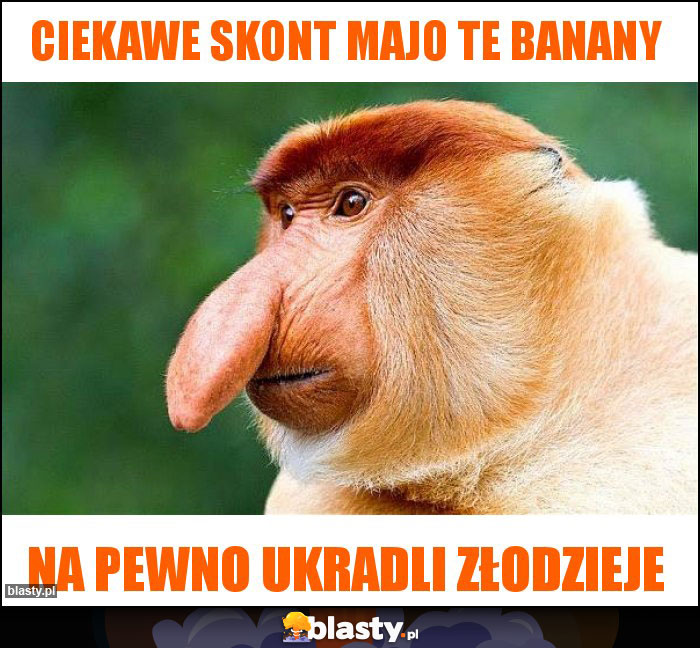 Ciekawe skont majo te banany