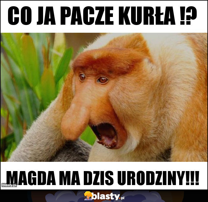 Co ja pacze kurła !?