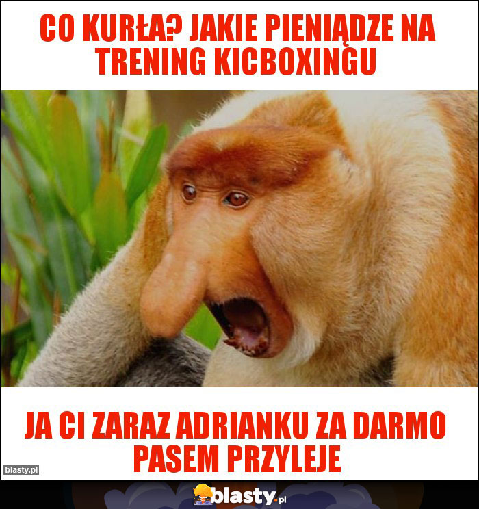 Co kurła? Jakie pieniądze na trening kicboxingu