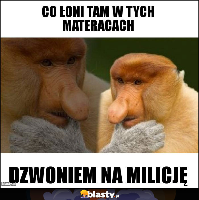 Co łoni tam w tych materacach