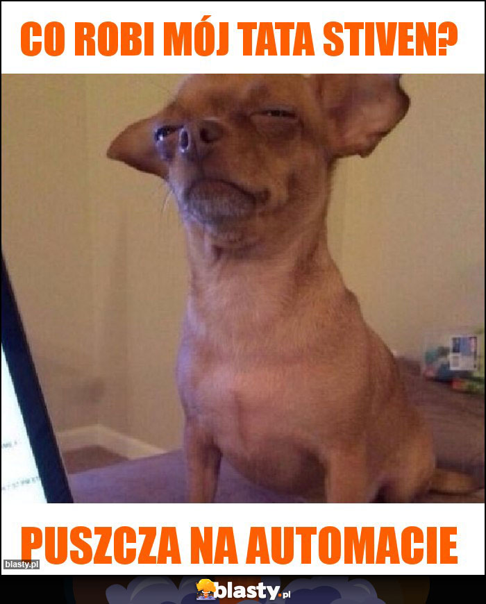 Co robi mój tata Stiven?