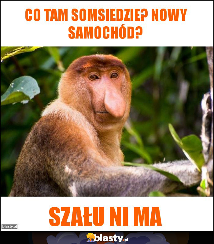Co tam somsiedzie? Nowy samochód?