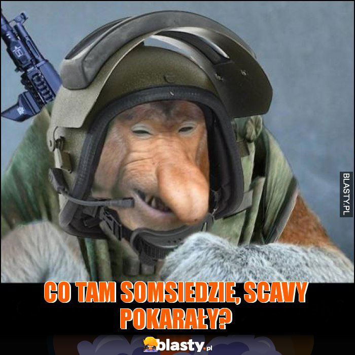 Co tam somsiedzie, Scavy pokarały?