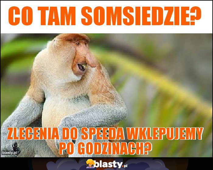 Co tam somsiedzie?