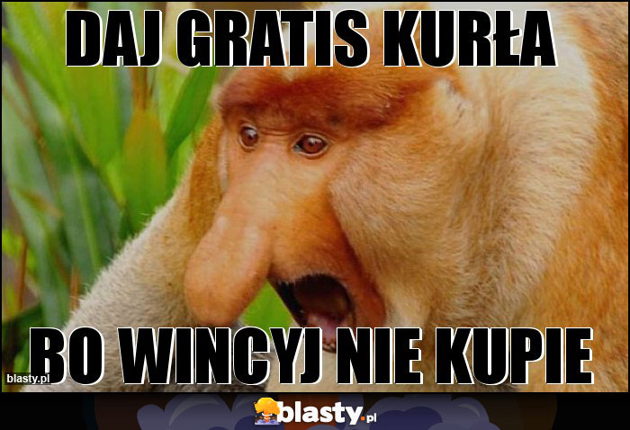 Daj gratis kurła