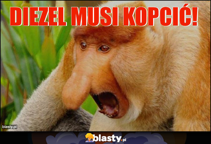 Diezel MUSI kopcić!