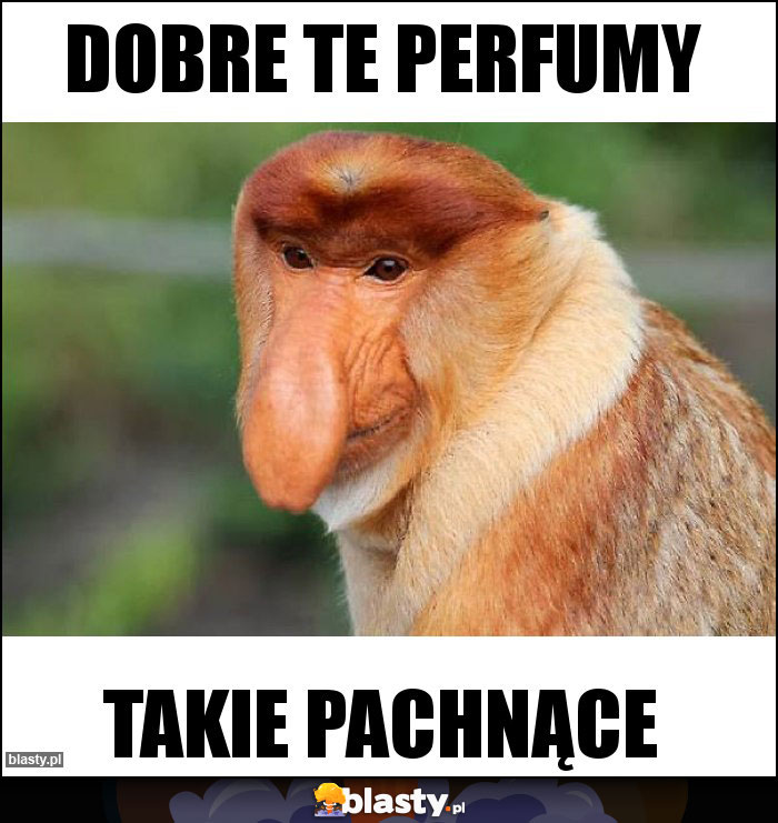 Dobre te perfumy