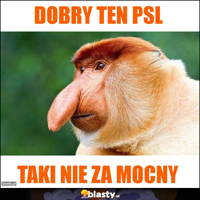 DOBRY TEN PSL